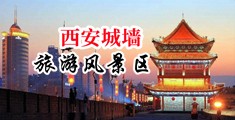 黑人大雞巴ⅩXX中国陕西-西安城墙旅游风景区