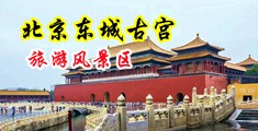 天堂网男的鸡巴插女人的逼逼中国北京-东城古宫旅游风景区